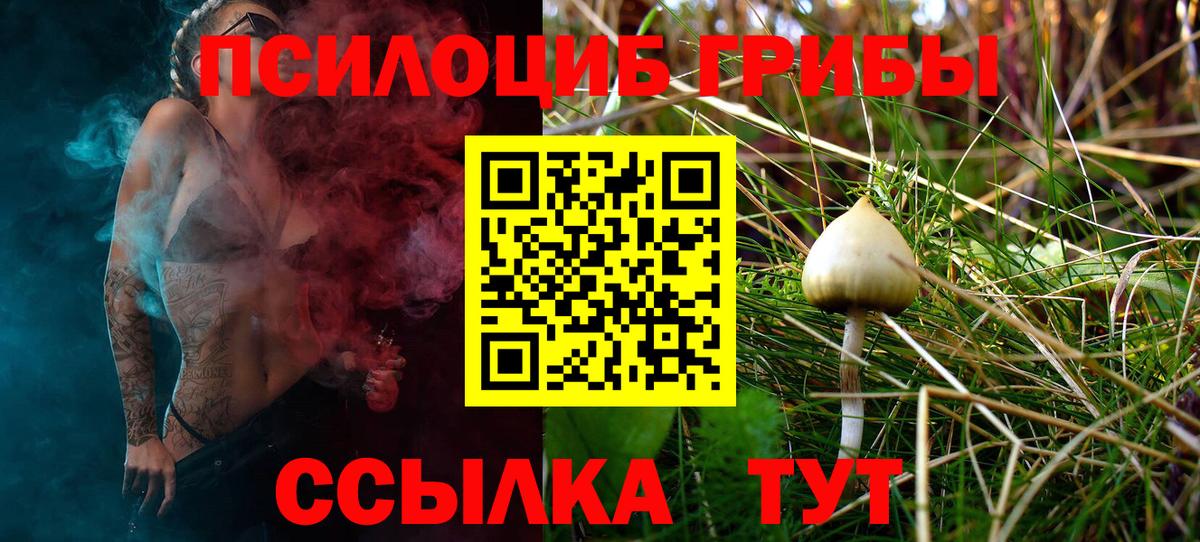 Псилоцибиновые грибы Cubensis  Галлюциногенные грибы Psilocybe  Бирск  Вход с VPN 